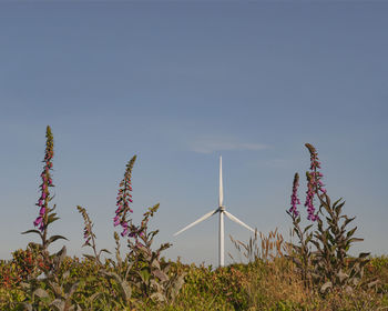 Low angle view of flowering plants on field against sky