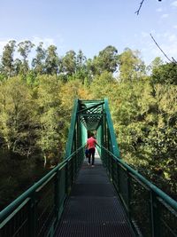 Rear view of man walking on footbridge in forest