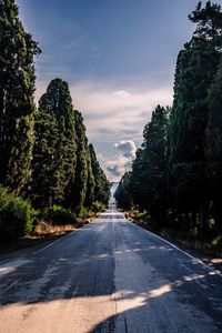 Road amidst trees against sky