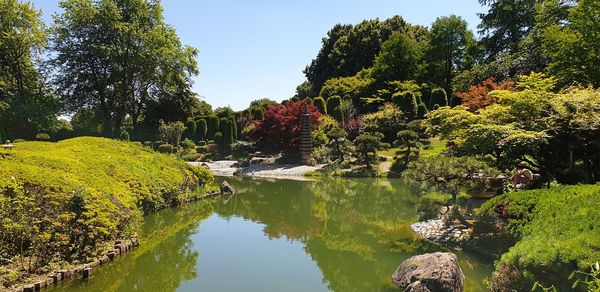 Scenic view of lake by trees against sky