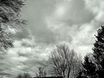 Low angle view of trees against cloudy sky
