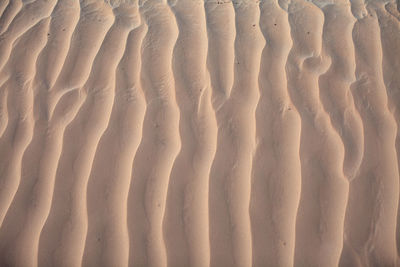 Full frame shot of sand dune