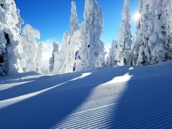 Snow covered landscape against blue sky