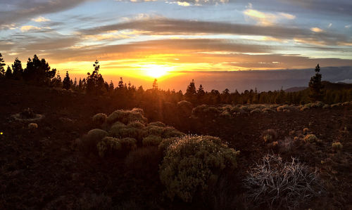 Scenic view of landscape against sky at sunset