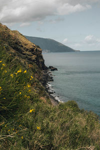 Scenic view of sea against sky