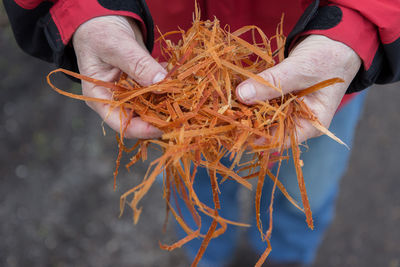 Midsection of man holding wood shavings