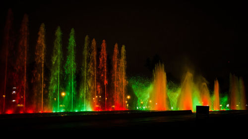 Panoramic shot of illuminated plants at night