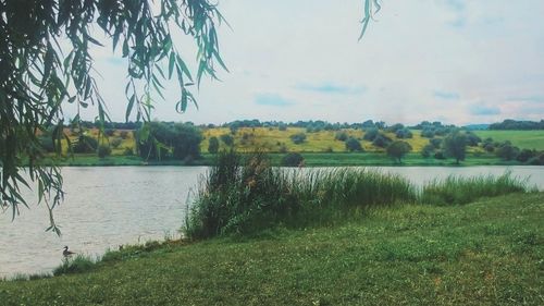 Scenic view of lake against sky
