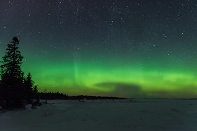 Scenic view of star field at night