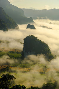 Scenic view of fog covered forest by mountains against sky