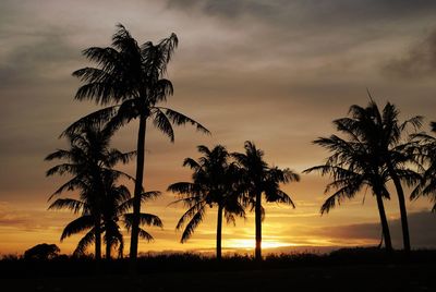 Silhouette palm trees against sky during sunset