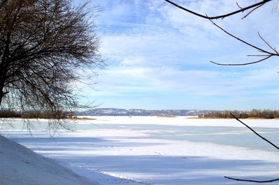 Bare trees on snow covered land against sky