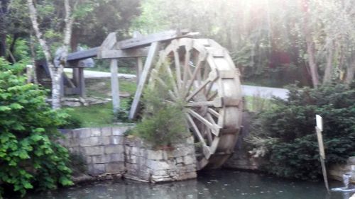 Built structure against trees