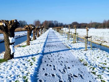 Snow covered field against sky