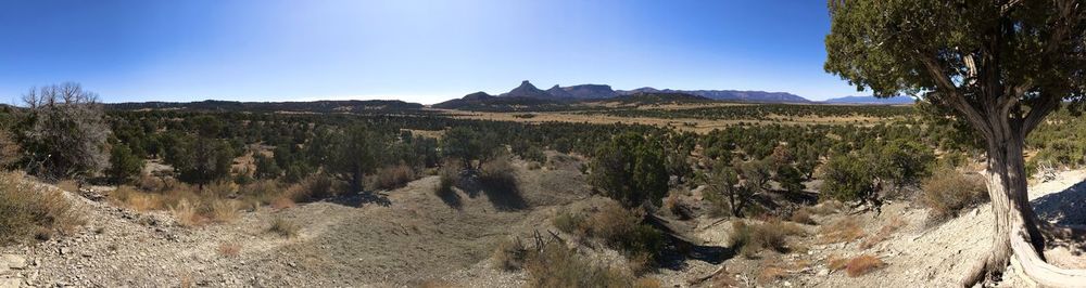 Scenic view of landscape against clear sky