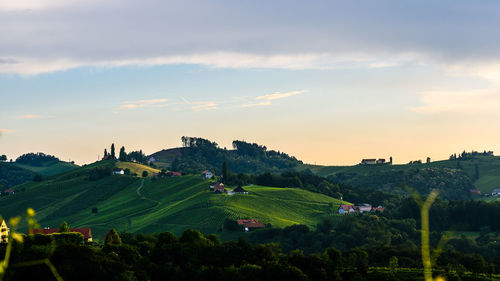 Scenic view of agricultural field against sky during sunset