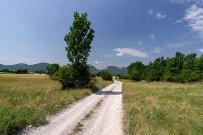 Road amidst trees on field against sky