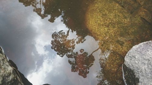 Reflection of sky in lake