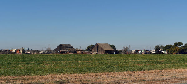 Houses on field against clear blue sky