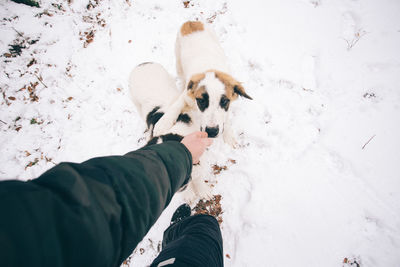 Low section of person with dog standing on snow