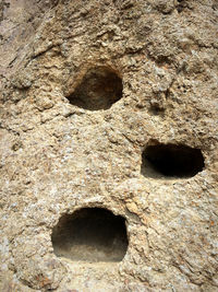 Close-up of hole on rock