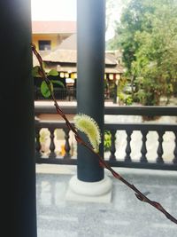 Close-up of railing by window