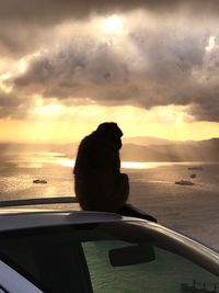 Close-up of silhouette man on boat against sky during sunset