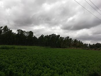 Scenic view of field against sky