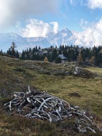 Scenic view of field against sky
