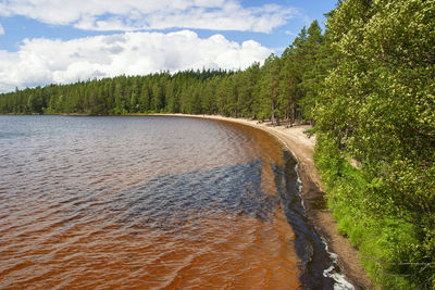 Scenic view of river amidst trees in forest against sky