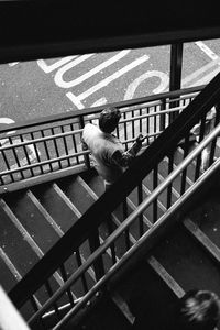 High angle view of man sitting on railing