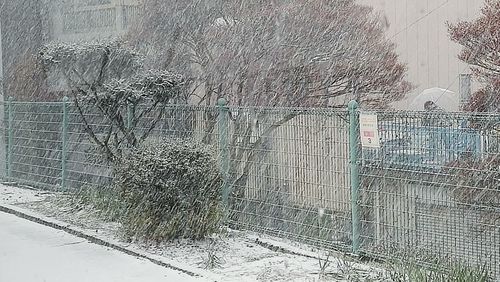 Snow covered landscape