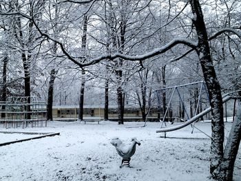 Bare trees in park