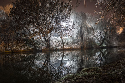 Reflection of trees in lake against sky