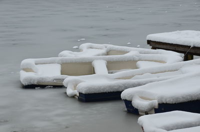 Close-up of swan in lake during winter