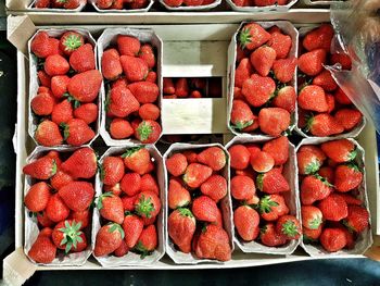 Strawberries  for sale in market