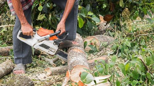 Low section of man working on farm