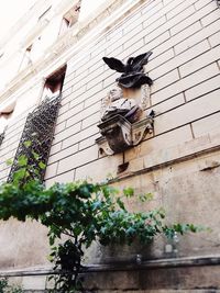 Low angle view of cat on wall against building