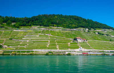 Lavaux from the léman lake