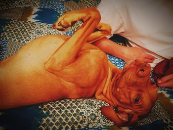 High angle view of man lying on bed