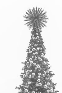 Low angle view of tree against sky