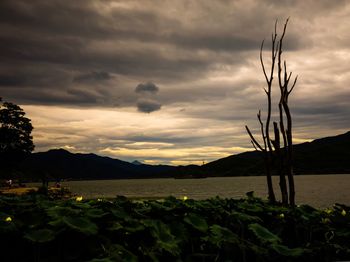 Scenic view of landscape against sky at sunset