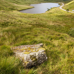 Scenic view of landscape