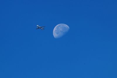 Low angle view of airplane against clear blue sky