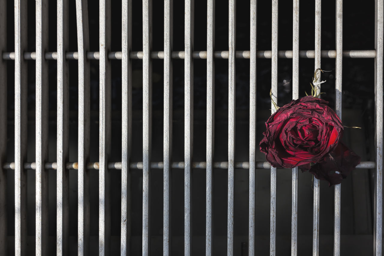 Flower and grate