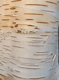 Full frame shot of wooden table