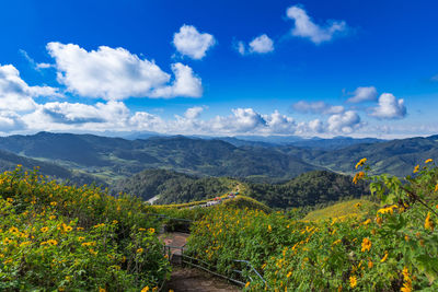 Scenic view of landscape against sky