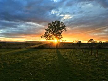 Scenic view of field against sky during sunset