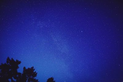 Low angle view of silhouette trees against star field at night