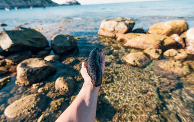 Close-up of hand on rock at beach